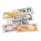Karty ochronne na banknoty BASIC 204 (10 sztuk)