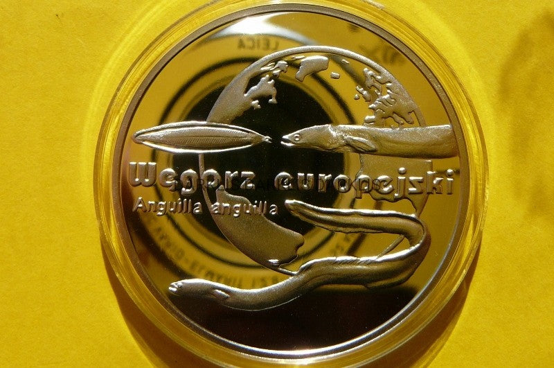 20 ZŁOTYCH POLSKA 2003 WĘGORZ EUROPEJSKI - Ag 925